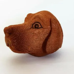 Coconut Dog