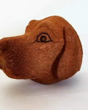Coconut Dog