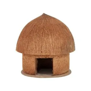 Coconut Home