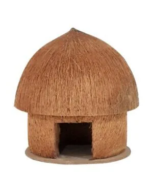 Coconut Home