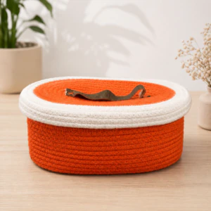 D01C6285-0044-4DFE-BC81-3ABEFCA54241 Handcrafted 100% Cotton Storage Basket with Lid – Orange & White